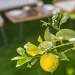 Lemon House - 400m From The - Wifi * البوفيرا
