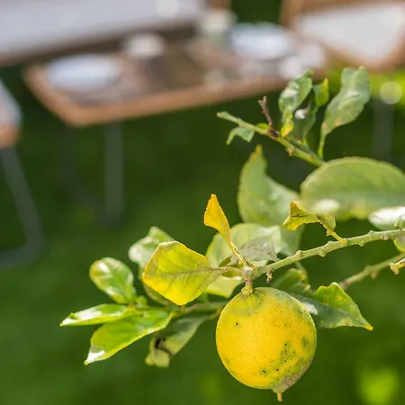 Lemon House - 400m From The - Wifi * アルブフェイラ